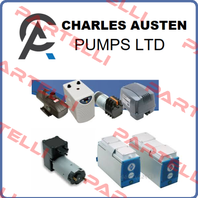 Charles Austen Pumps