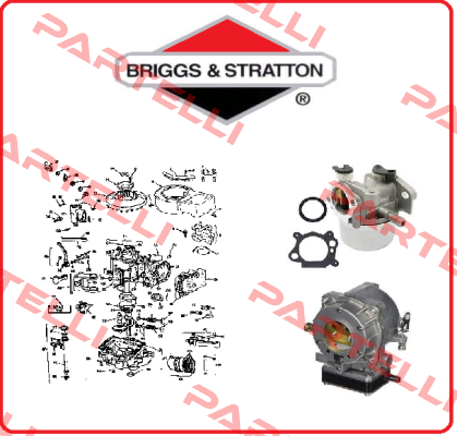 30209 5500  OBSOLETE Briggs-Stratton