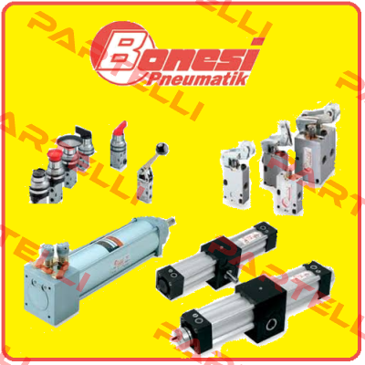 E13A8/B1/E   Bonesi Pneumatic