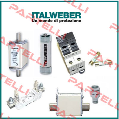 0105015  Italweber