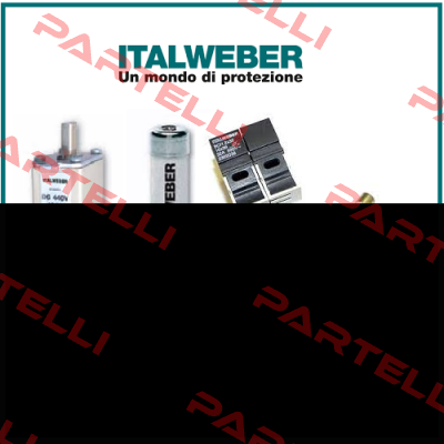 2503011  Italweber