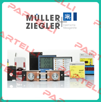  DSM 96 (4-stellig)  Müller Ziegler