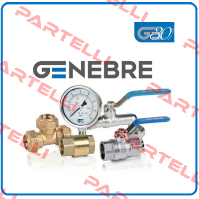 Repair kit for butterfly-valve DN250 PN10   Genebre