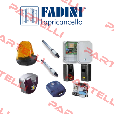 588568 FADINI