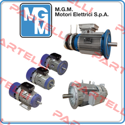 BA 100 LB4 (B3)  M.G.M MOTORI