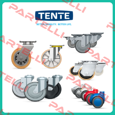 9950FTP150P65 (Teilenummer: 00803669-GS) Tente