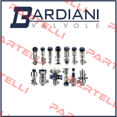 B925 TT VITON SMS63 Bardiani Valvole