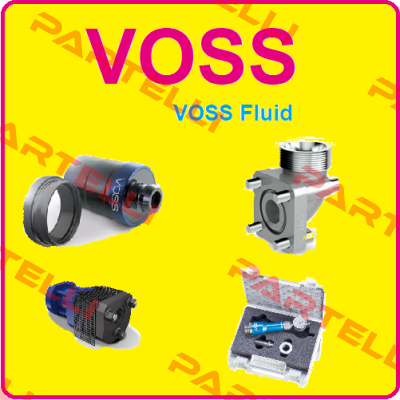 RD S 10  Voss