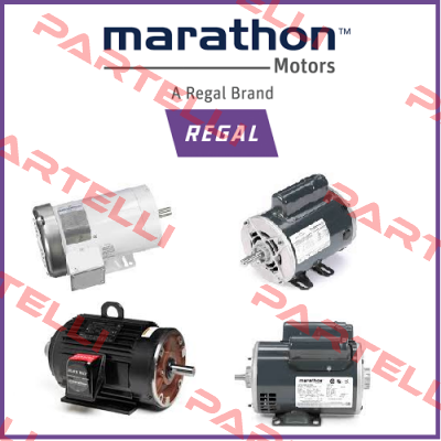 LK1129 Marathon (Regal)