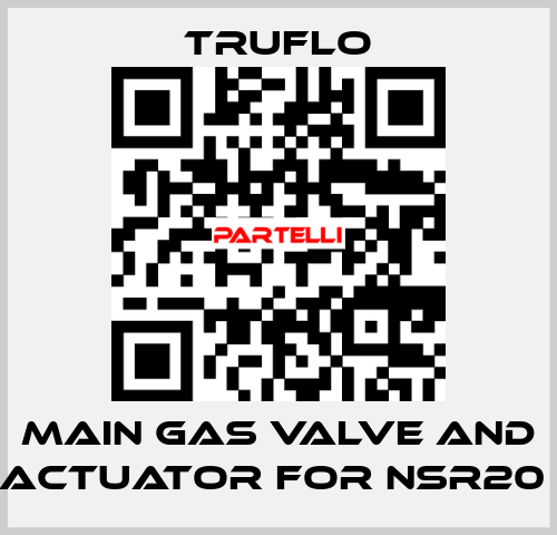 Main Gas Valve and Actuator For NSR20  TRUFLO