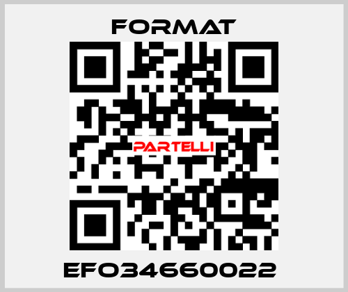 EFO34660022  Format