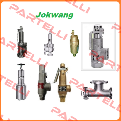 FF100-C-3/4"D1"-A11-212-CN2 12BARG  Jokwang