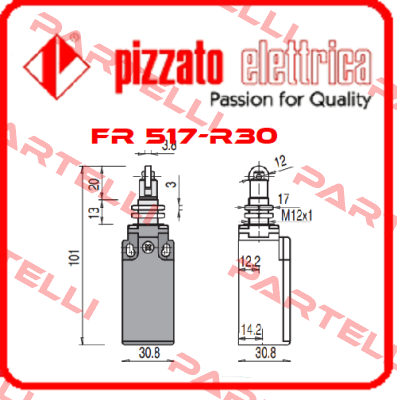 FR 517-R30 Pizzato Elettrica