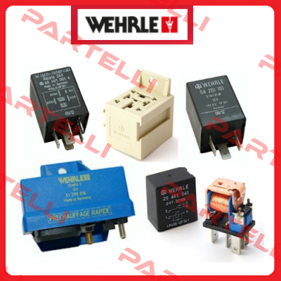 22204013 (1 pack = 260 pcs)  WEHRLE