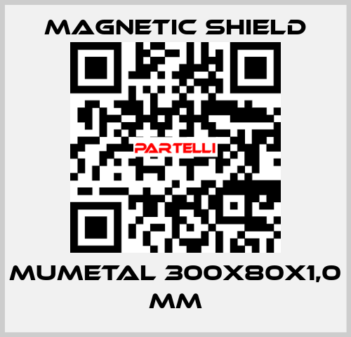 MuMETAL 300x80x1,0 mm Magnetic Shield