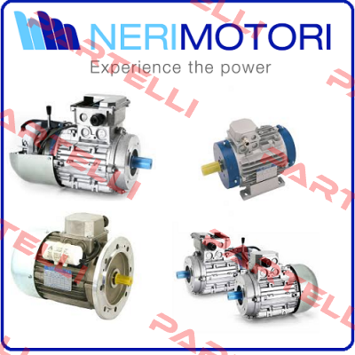 NM57915 Neri Motori