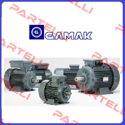 AGM 2E 100 L/4 Gamak