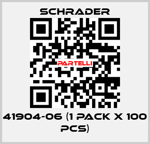 41904-06 (1 pack x 100 pcs) Schrader