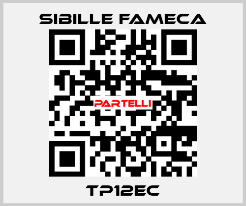 TP12EC Sibille Fameca