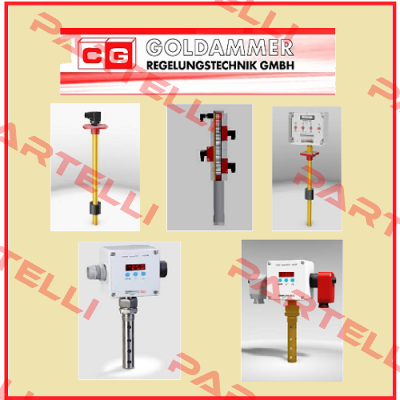 G1/2"-T-L100-MS-2M12-4-20mA Goldammer