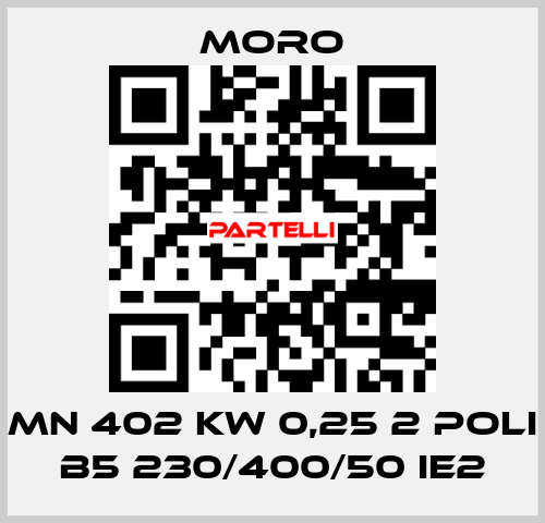 MN 402 KW 0,25 2 POLI B5 230/400/50 IE2 Moro