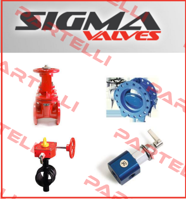 Repair Kit for 20HM104 Sigma Valves