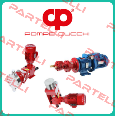 M0G005B0CDN0000 (without motor) POMPE CUCCHI SRL