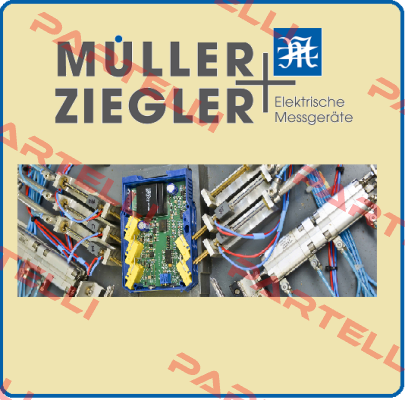 808106 Ziegler