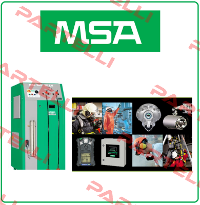 Type: H2S Msa