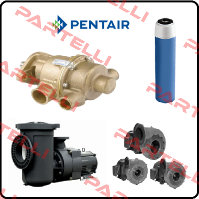 80H100/120 A/R for pos2 Pentek (Pentair)