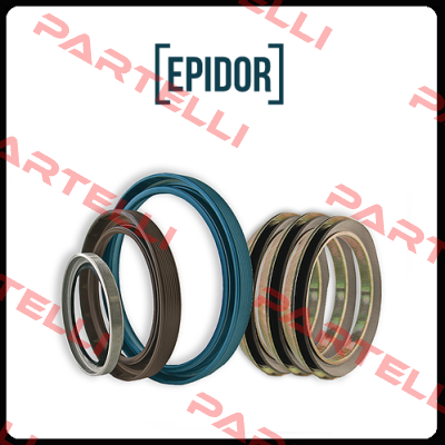 RING 166X6  Epidor