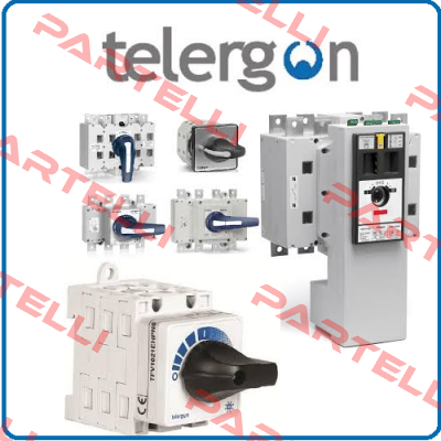 S6-02502DS0（1000VDC） Telergon