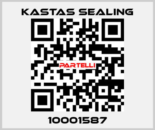 10001587 Kastas Sealing