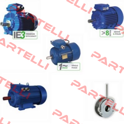 DS-Motor 2SIEK 80 X-2C Cantoni