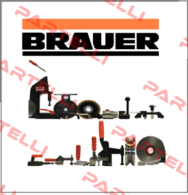 MS 12100 Brauer