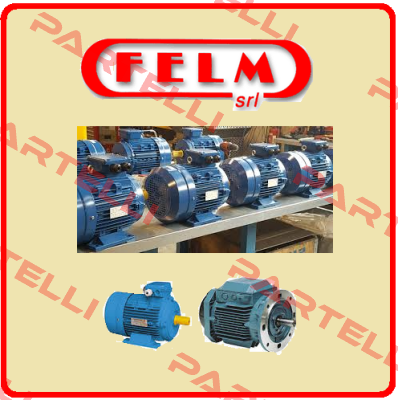 FA3 100LB-4 IE3 Felm