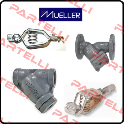 R2365  Mueller