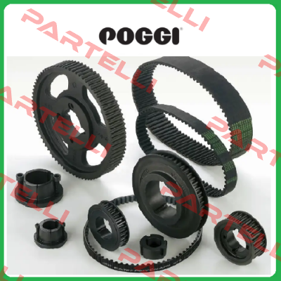 55B024005-240L Poggi