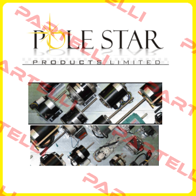 NET2T16PUN201 Pole Star