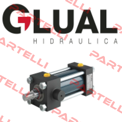 P/N: KI-40/22X75 Glual Hydraulics