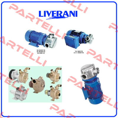 SPEED CONTROLLER FOR HBL30/2 A  Liverani