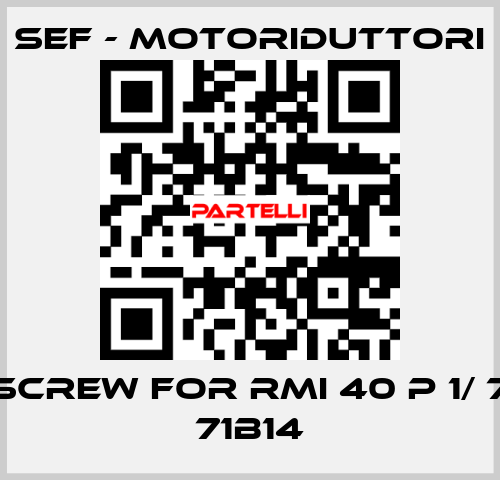 screw for RMI 40 P 1/ 7 71B14 SEF - MOTORIDUTTORI