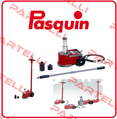 P302EX / P3318 Pasquin