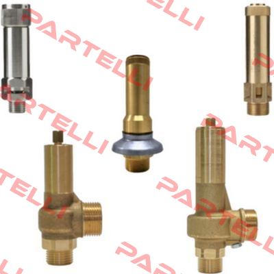 Repair kit for valve 018551453 Nuova General Instruments