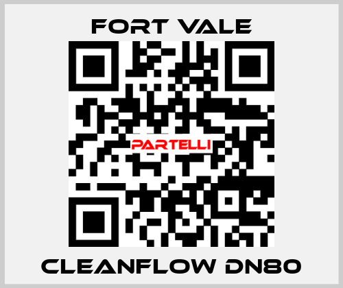 Cleanflow DN80 Fort Vale