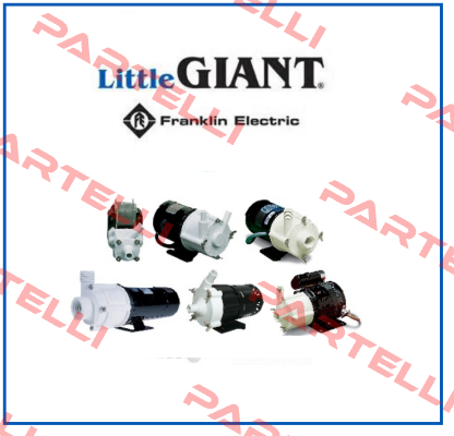 187005 Little Giant