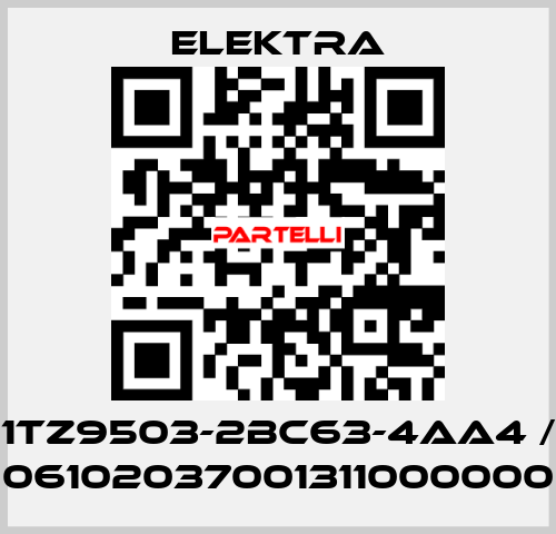 1TZ9503-2BC63-4AA4 / 06102037001311000000 ELEKTRA