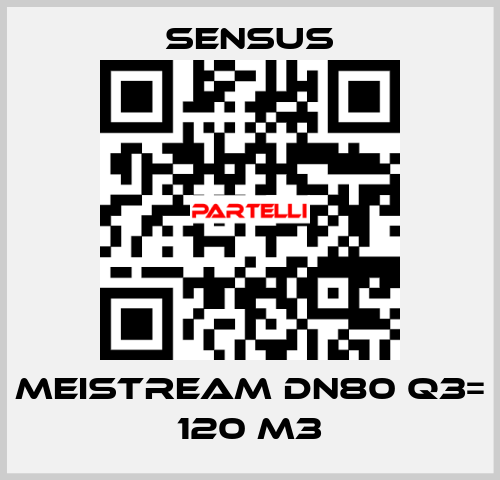 Meistream DN80 Q3= 120 m3 Sensus