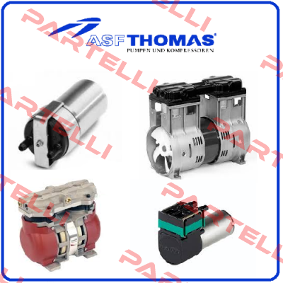 PPEGAR24880 ASF-Thomas