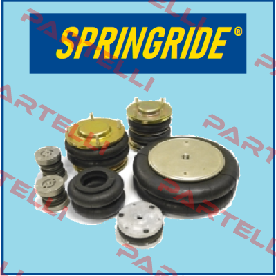 SP2441 Springride